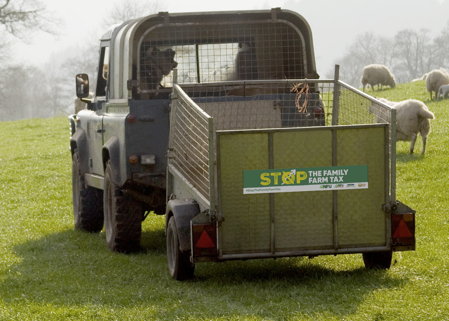 Trailer Board
